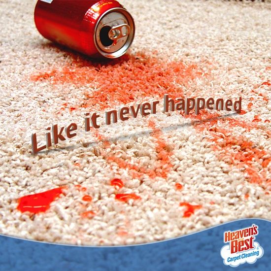 Affordable Carpet Cleaning Experts at Heaven’s Best Carpet Cleaners of